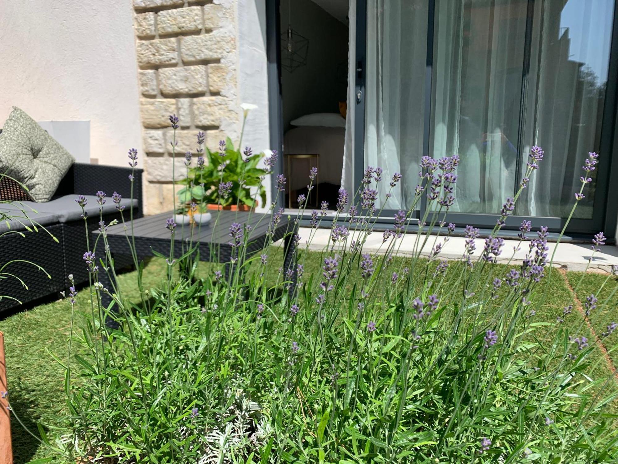 Homestay Escapade Martegale Martigues